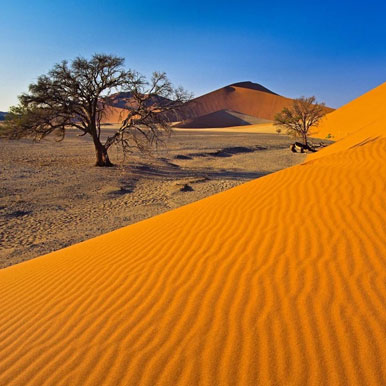 15 Day Namibia Deserts And Wildlife