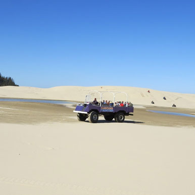 15 Day Namibia Deserts And Wildlife