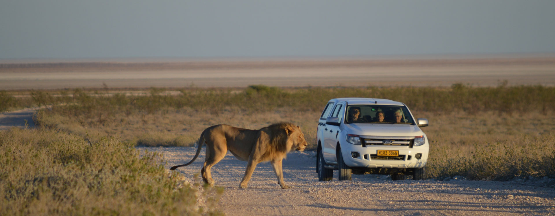 15 Day Ultimate Wildlife & Bird Safari Luxury