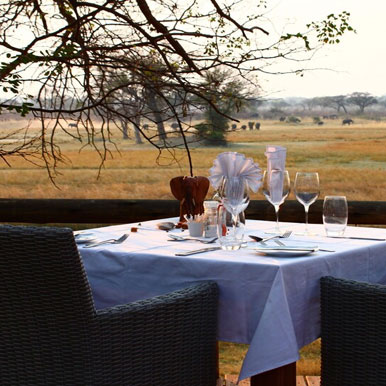 15 Day Ultimate Wildlife & Bird Safari Luxury