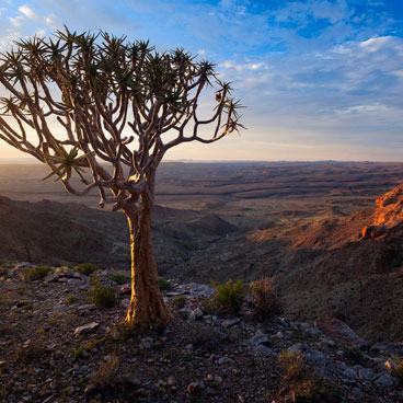 18 Days Fairest Cape and Namibia Self Drive