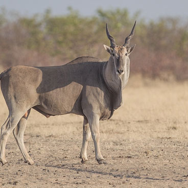 18 Days Fairest Cape and Namibia Self Drive
