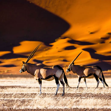 18 Days Fairest Cape and Namibia Self Drive