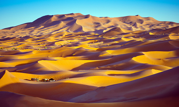 16 Day Namibia Safari - Etosha National Park, Sossusvlei