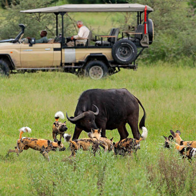 17 Day Victoria Falls & Botswana Mobile Camping Safari Tour