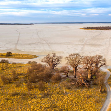 17 Day Victoria Falls & Botswana Mobile Camping Safari Tour