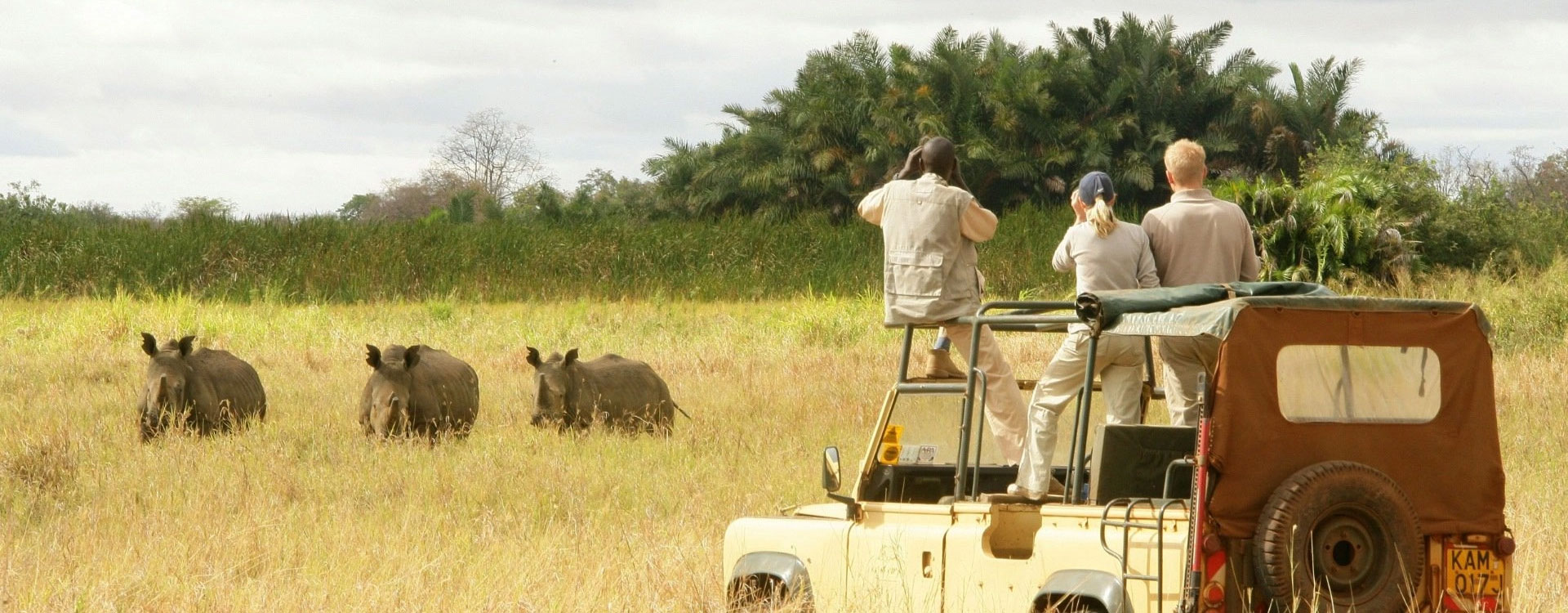 17 Days Bush and Beach Safari