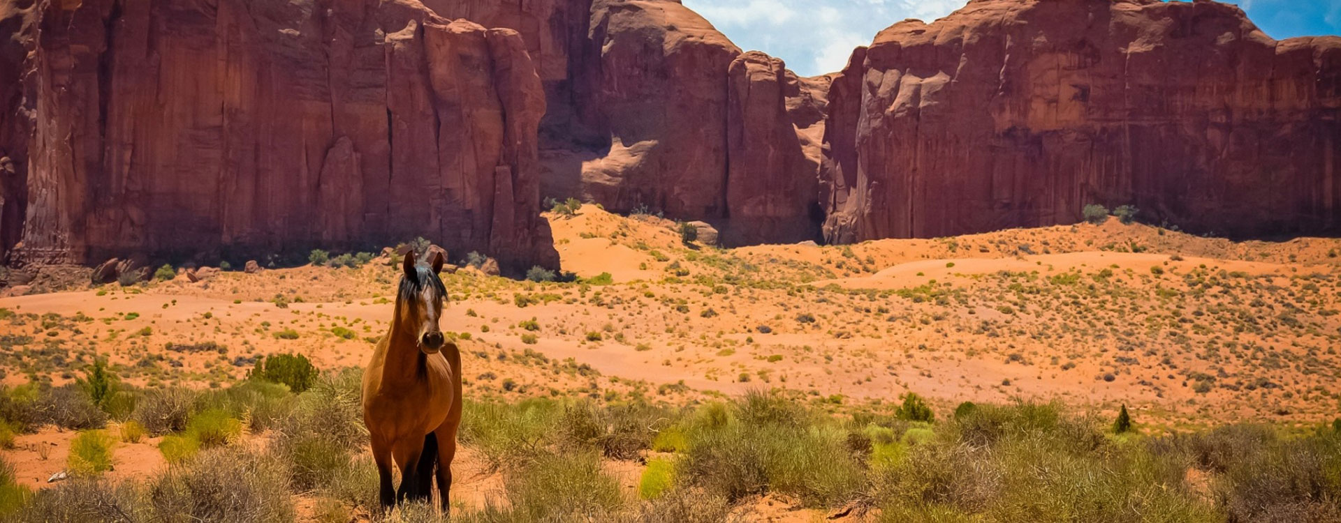 18 Days Desert and Wilderness