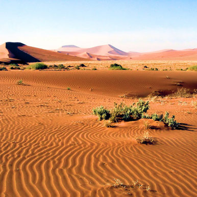 18 Days Desert and Wilderness