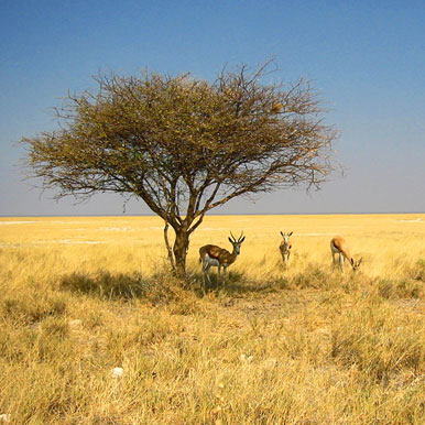 18 Days Desert and Wilderness