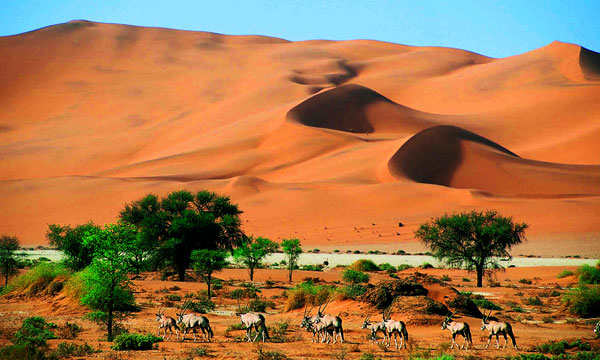 18 Day Desert and Wilderness