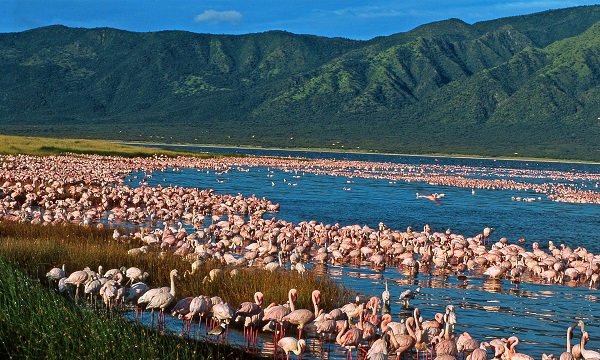 2 Day Great Rift Lakes Safaris