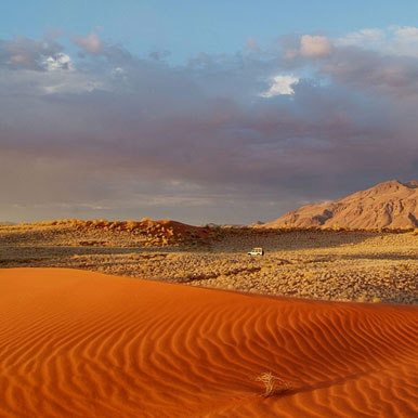 20 Day Africa Safari Tour