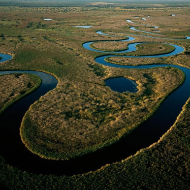 20 Day Africa Safari Tour