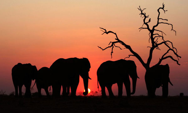 22 Day Brilliant Botswana And Namibia
