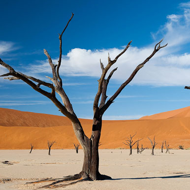 22 Day Brilliant Botswana And Namibia
