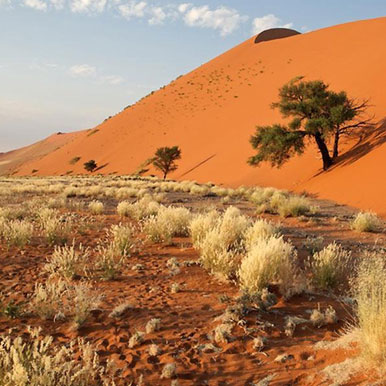22 Day Brilliant Botswana And Namibia