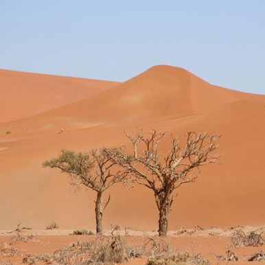 22 Day Brilliant Botswana And Namibia