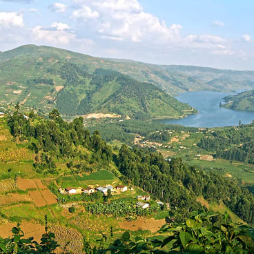 3 Days Bwindi Safari
