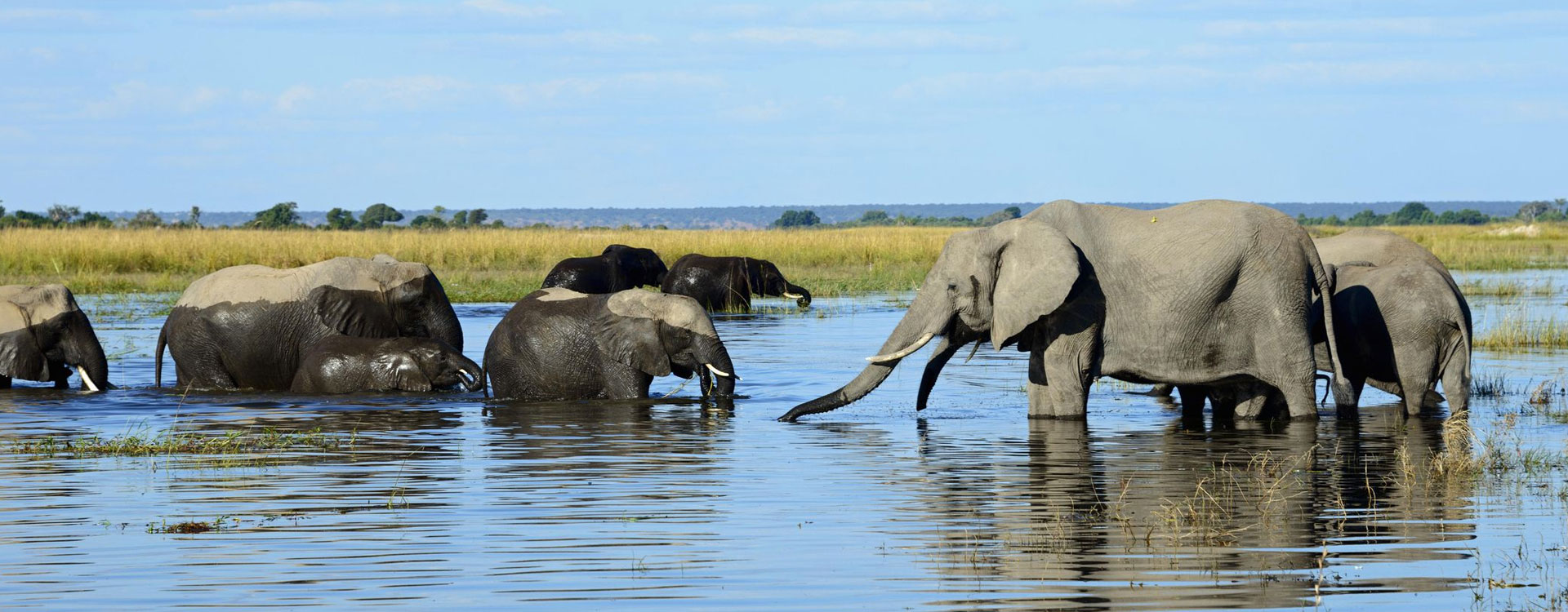 3 Day Chobe National Park Safari Package