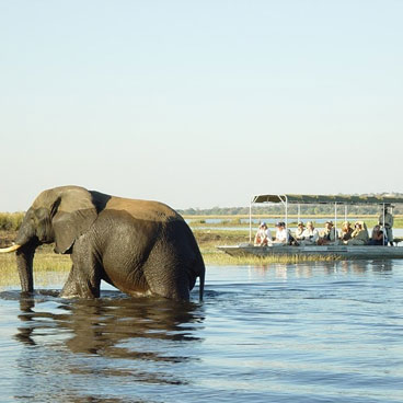3 Day Chobe National Park Safari Package