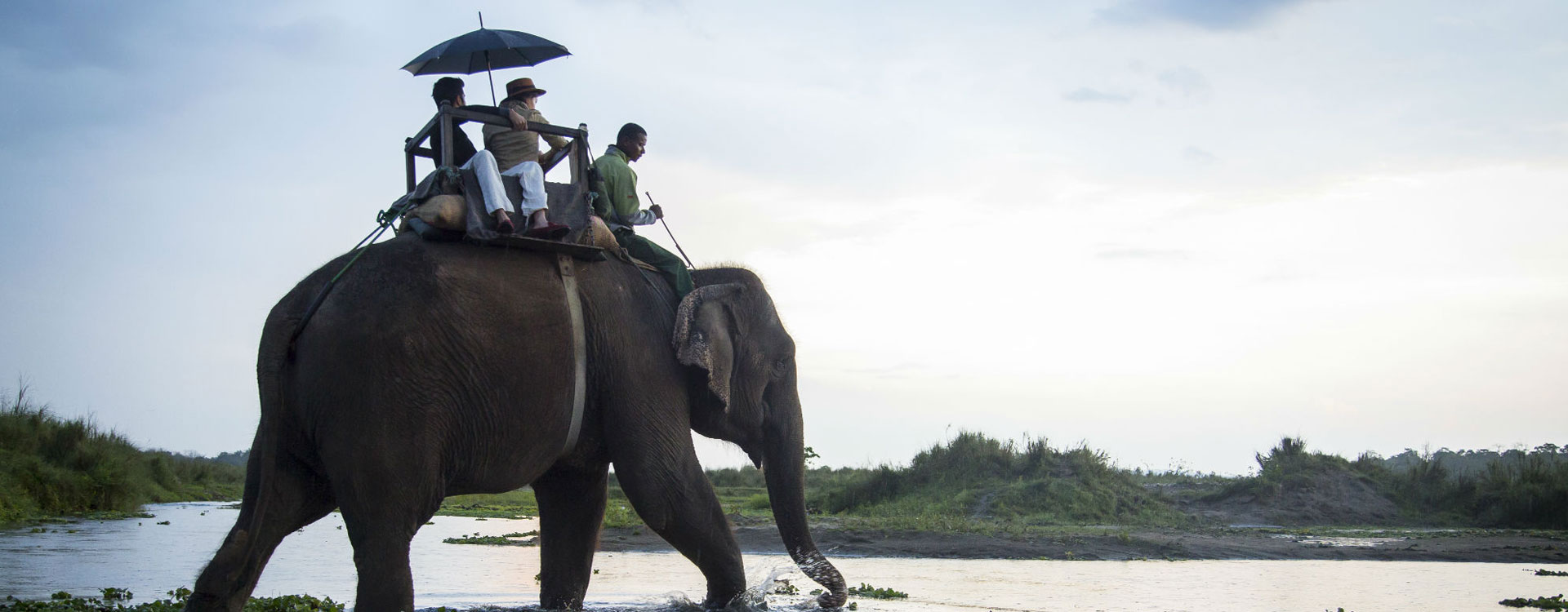 3 Days Elephant Safari