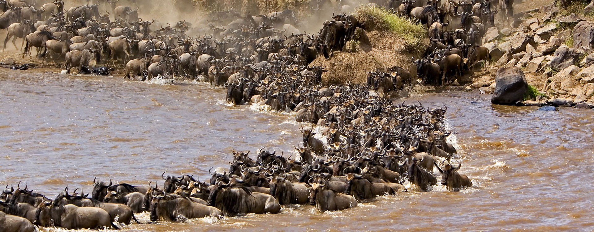 3 Day Maasai Mara Safari