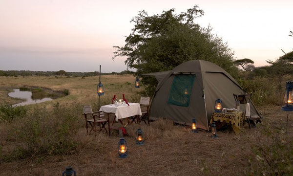 3 Day Private Bush Camp Safari