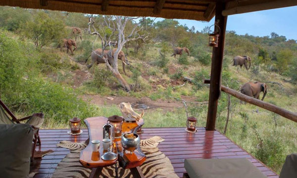 3 Days Private Game Lodge Safari in Kurger