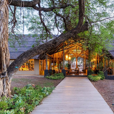 3 Days Private Luxury Safari