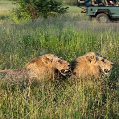 3 Days Rustic Kruger Park Family Self-Drive Safari