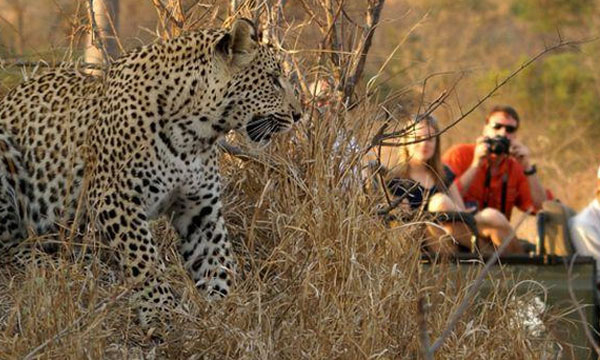 3 Day Rustic Kruger Park Family Self-drive Safari