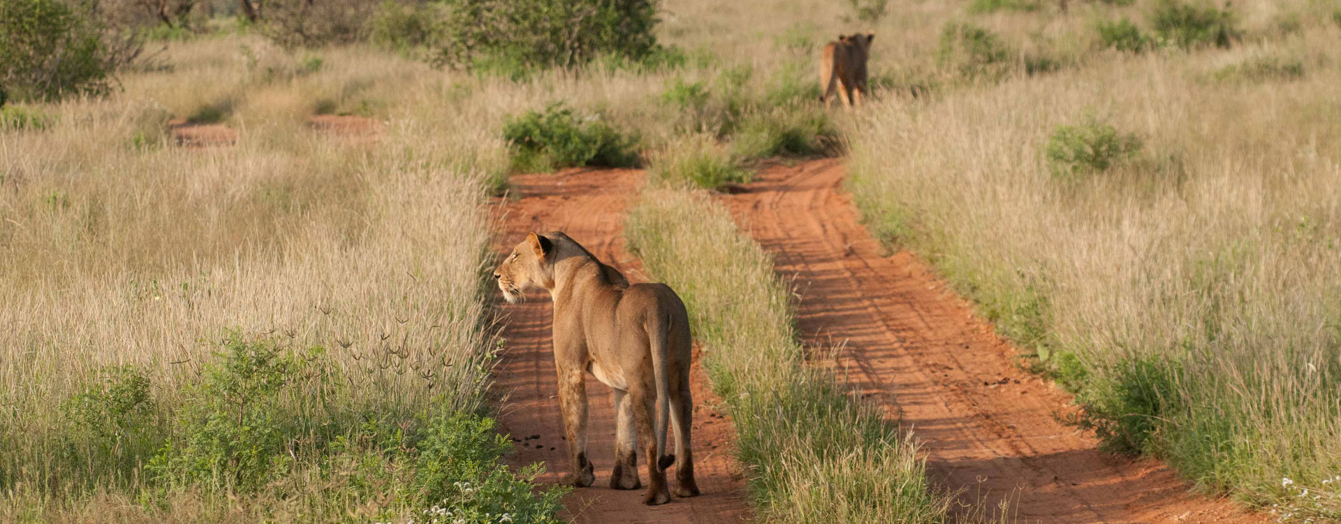 3 Days Samburu Safari