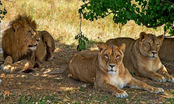 3 Day Samburu Safari