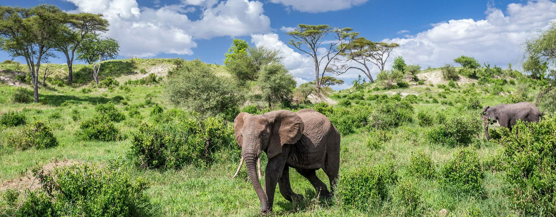 3 Days Wilderness Adventure Safari