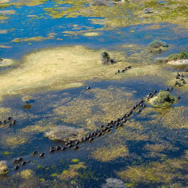 4 Day Classic Okavango Delta Honeymoon Safari