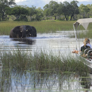 4 Day Classic Okavango Delta Honeymoon Safari