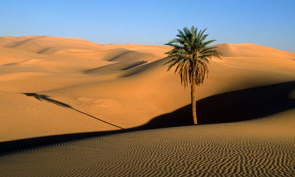 4 Day Dunes & Desert Explorer