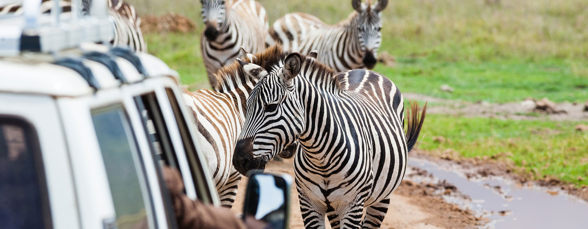 4 Day Etosha Safari Shuttle Tour