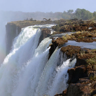 4 Day Hwange Safari Escape