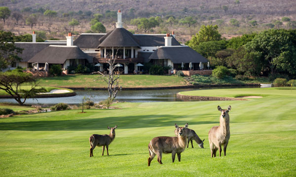 4 Day Leopard Creek Golf Safaris