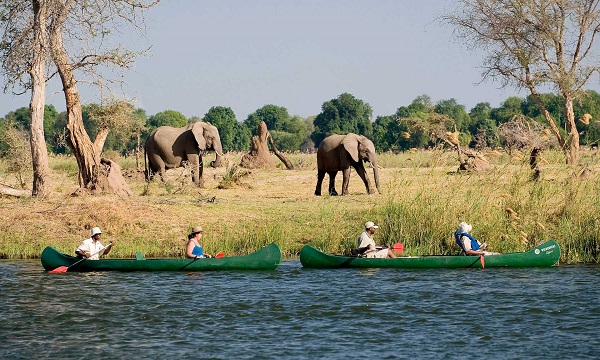 4 Day Mana Pools Safari