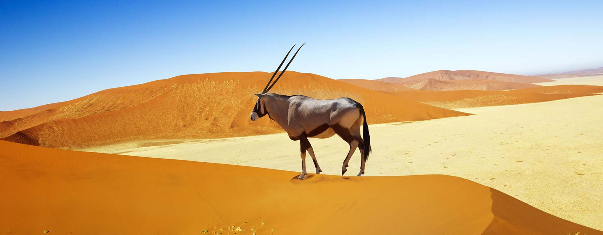 4 Day Namiba Desert Trail