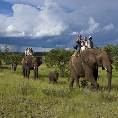 4 Day Victoria Falls Sojourn
