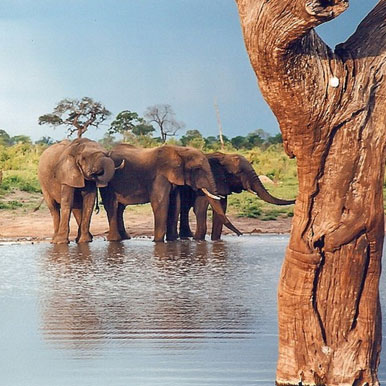 4 Day Victoria Falls Sojourn