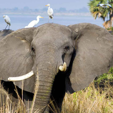 4 Day Intimate Hideaway