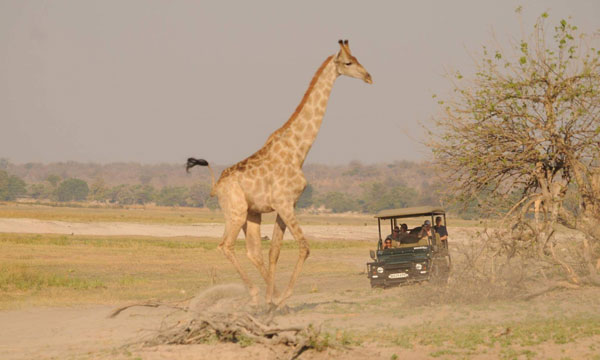4 Day Kruger Escape