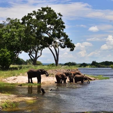 4 Days Zambezi Tree House Safari