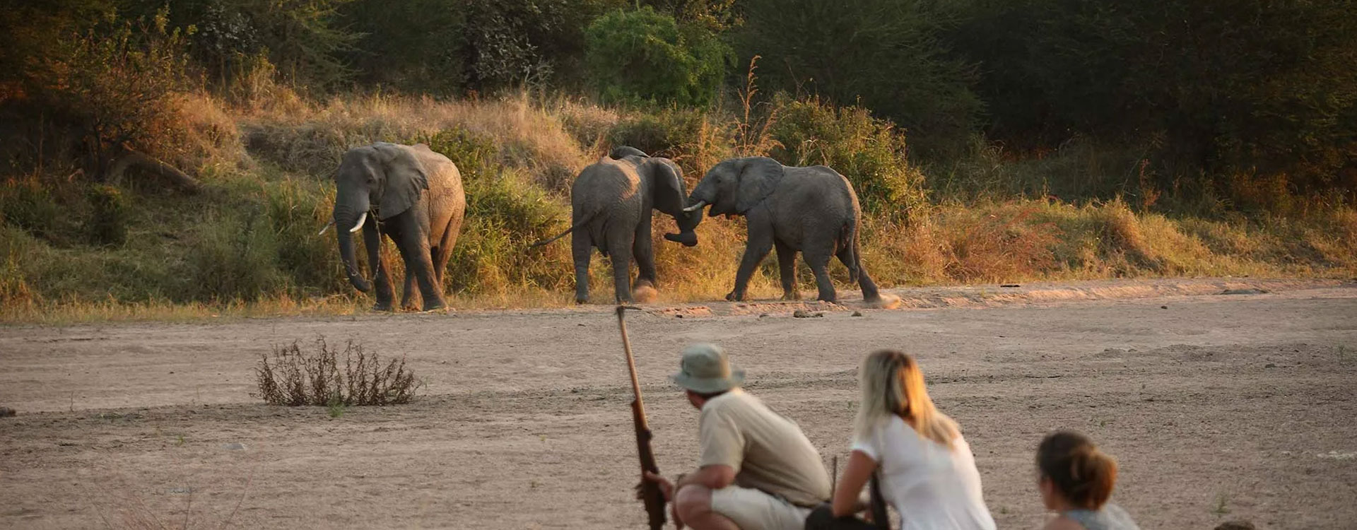 4 Days Private Safari