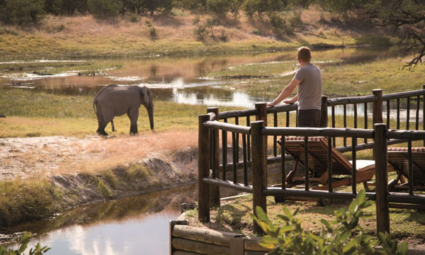 4 Days Romantic Botswana Getaway Savute, Chobe